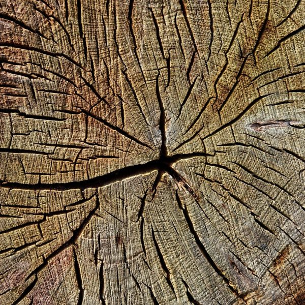 mabelamber-wood-3312216_1280